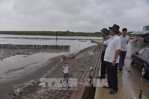 Các địa phương chủ động ứng phó với áp thấp nhiệt đới ảnh 2