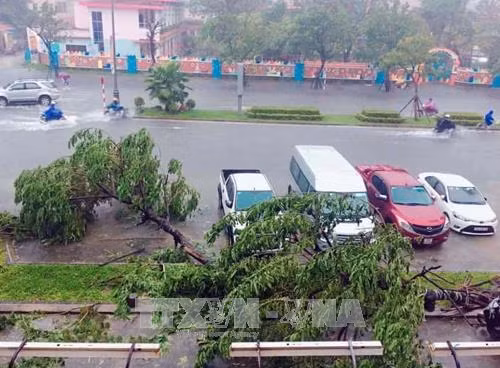 Thủ tướng chỉ đạo tập trung khắc phục hậu quả bão và ứng phó khẩn cấp mưa lũ ảnh 1