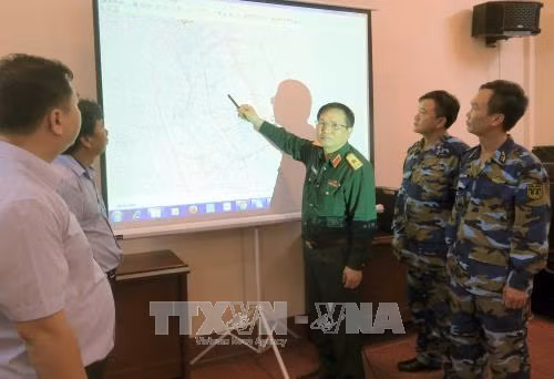 Huy động 15 tàu tham gia tìm kiếm thuyền viên mất tích trên vùng biển Quy Nhơn ảnh 2
