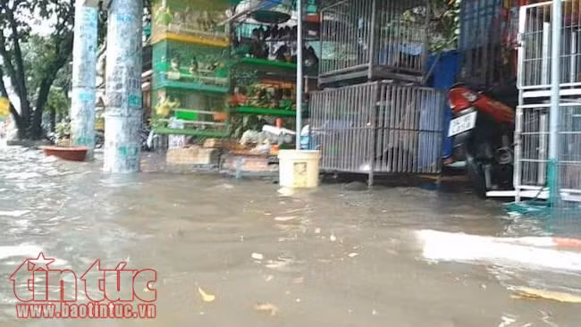 Nhiều tuyến đường TP Hồ Chí Minh lại ngập sâu sau cơn mưa lớn ảnh 5