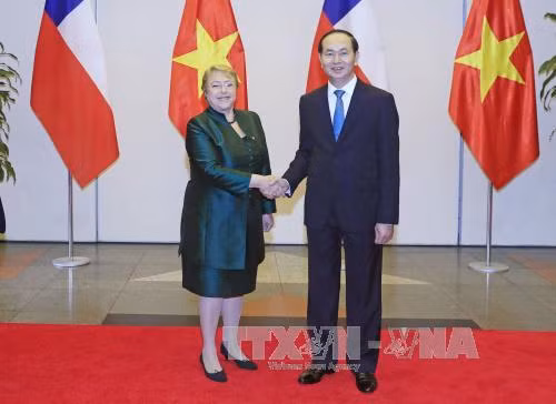 Chủ tịch nước chủ trì Quốc yến chào mừng Tổng thống Chile Michelle Bachelet ảnh 1