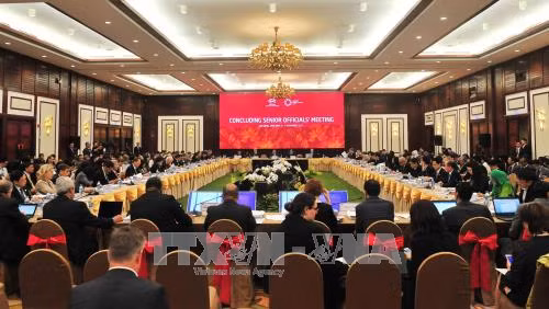 Cụ thể hóa chủ đề Năm APEC 2017 và bốn ưu tiên hợp tác ảnh 3