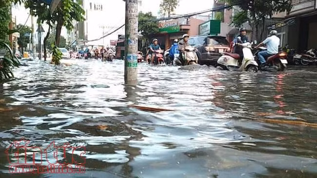 Nhiều tuyến đường TP Hồ Chí Minh lại ngập sâu sau cơn mưa lớn ảnh 4