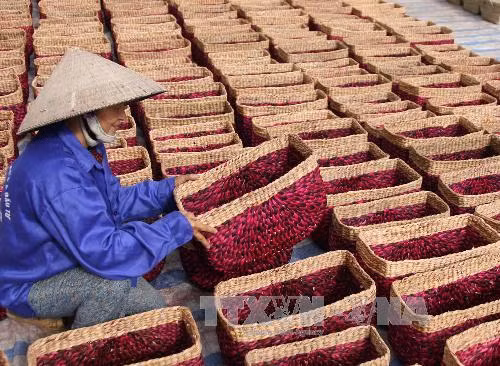 Hàng Việt được ưa chuộng tại thị trường Hàn Quốc ảnh 1