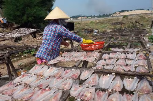 Bà Rịa-Vũng Tàu phát hiện chất cấm trong cá khô ở chợ đầu mối ảnh 1