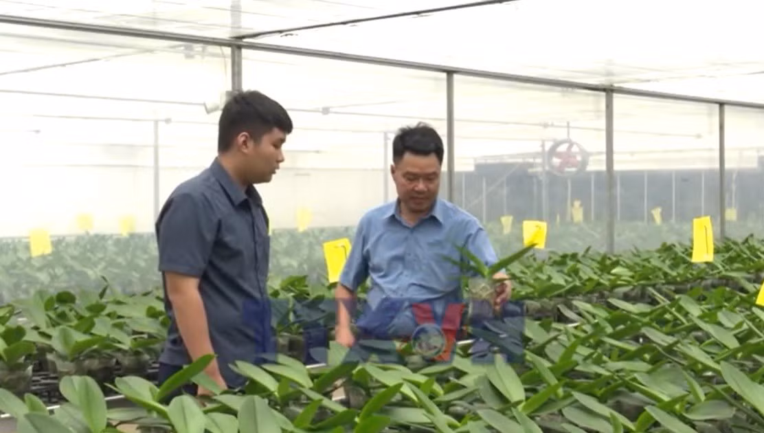 Đẩy mạnh chuyển đổi số, hỗ trợ nông dân ứng dụng công nghệ vào sản xuất
