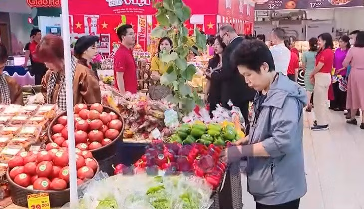 Triển khai Chương trình quốc gia về bảo vệ quyền lợi người tiêu dùng