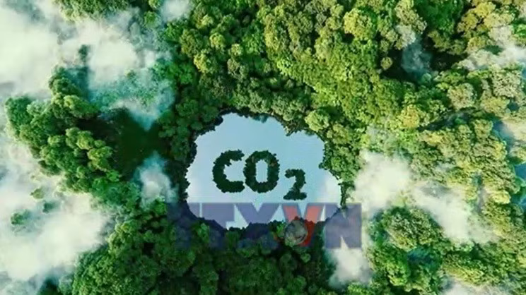 Siết quản lý hạn ngạch và tín chỉ carbon