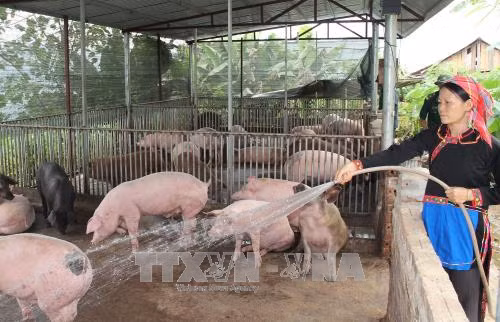 Gần 180.000 tỷ đồng dành cho tín dụng chính sách ảnh 1