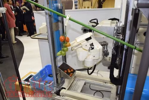 Cuộc cách mạng robot đã khởi động – Hướng đến một xã hội thân thiện ảnh 10