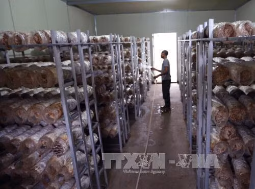 Xây dựng nông thôn mới gắn với phát triển đô thị Hà Nội ảnh 3