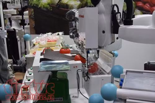 Cuộc cách mạng robot đã khởi động – Hướng đến một xã hội thân thiện ảnh 11