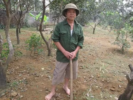 Đảng viên đi trước, cả thôn noi theo ảnh 1