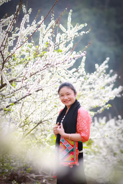 Đắm say hoa mận vùng cao Sơn La ảnh 10