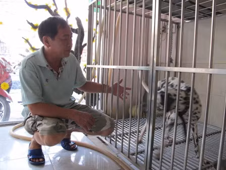 TPHCM: 'Nóng' các dịch vụ ngày Tết ảnh 1