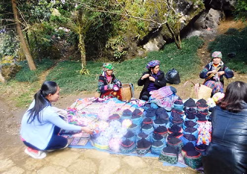 Cuối năm lên Sa Pa ngắm hoa mận trắng ảnh 2