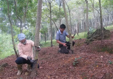 Đổi thay ở vùng quê cách mạng ảnh 1