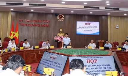 Quảng Ngãi ra thời hạn hoàn thành cài đặt ứng dụng eCDT