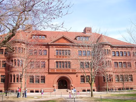 Đại học Harvard điều tra gian lận thi cử ảnh 1