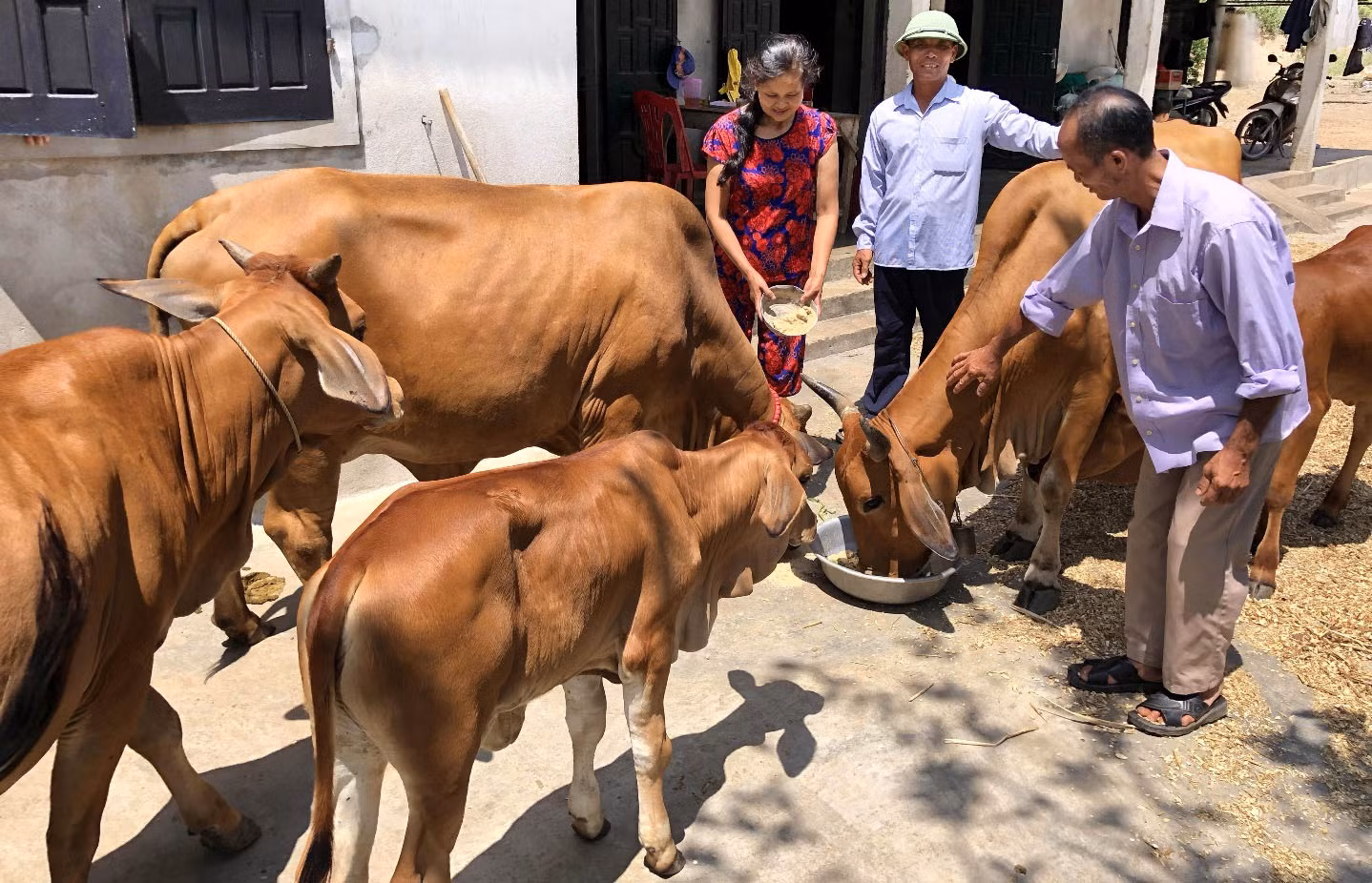 Chú thích ảnh