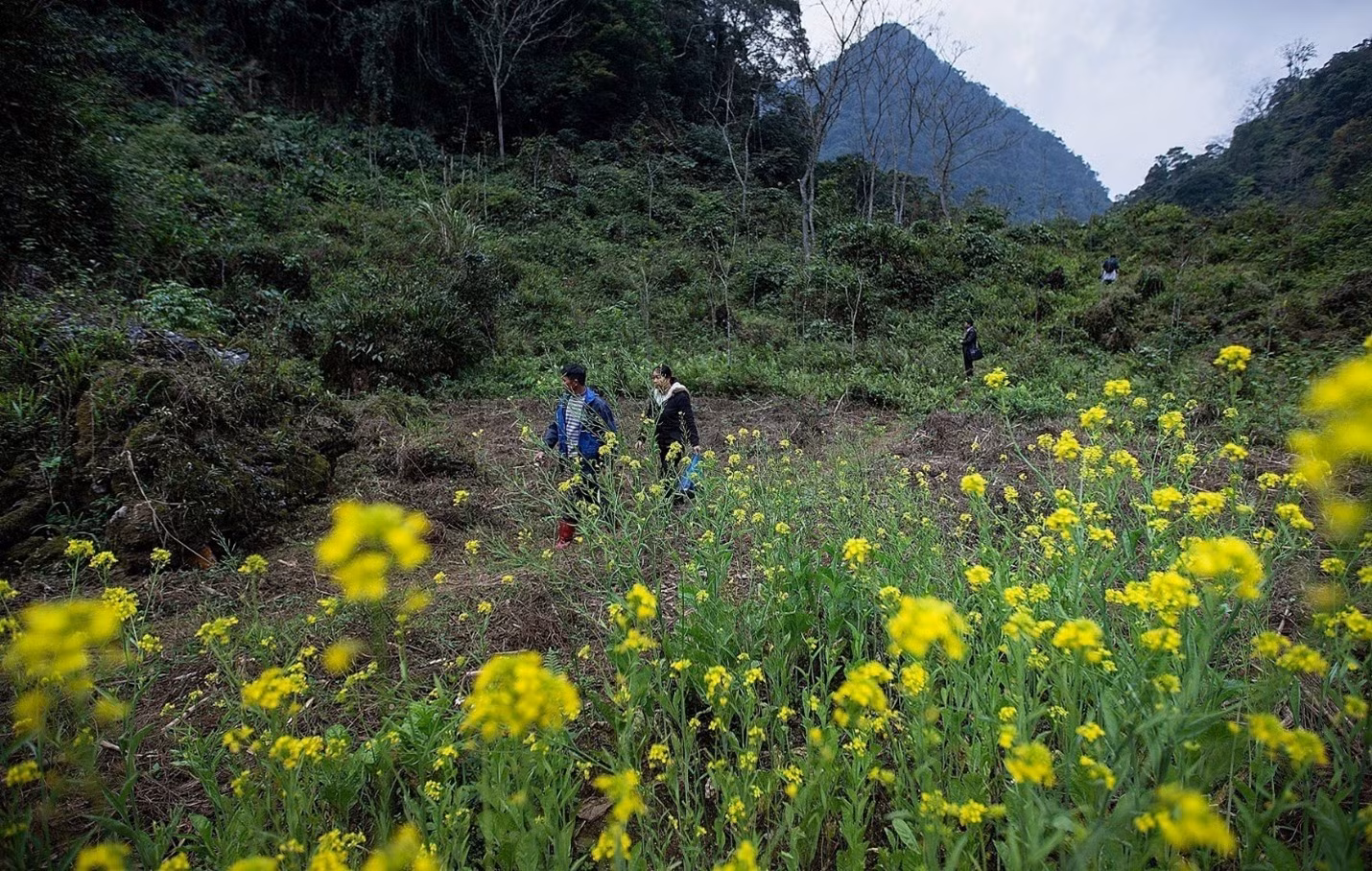 Chú thích ảnh