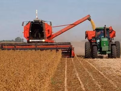 Đậu tương tiếp tục là mặt hàng xuất khẩu chủ lực của Argentina ảnh 1