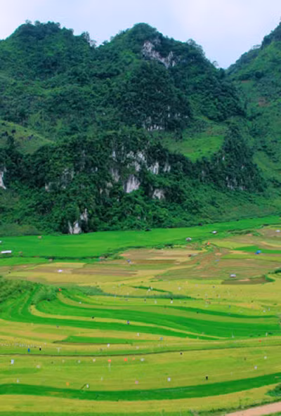 Người Mông du xuân trên cao nguyên đá Tủa Chùa ảnh 1