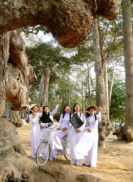 Thắng cảnh Ao Bà Om ảnh 7