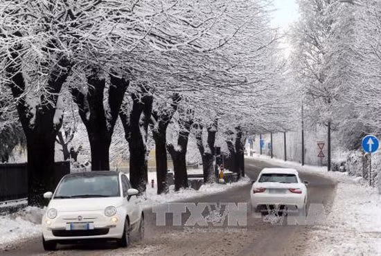 Châu Âu thiệt hại do thiên tai ngày càng nặng nề ảnh 1