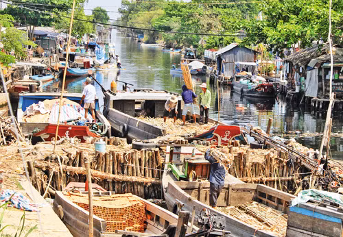 Đối mặt với thiếu nước mùa khô ảnh 1
