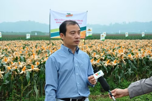  Chuyển giao tiến bộ kỹ thuật cho nông dân Nghệ An ảnh 3
