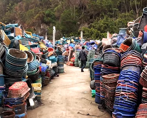 Ngổn ngang lồng nuôi tại bãi thu mua phế liệu ảnh 1