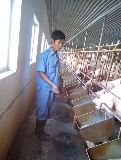 Tỷ phú nông dân 8x ảnh 1
