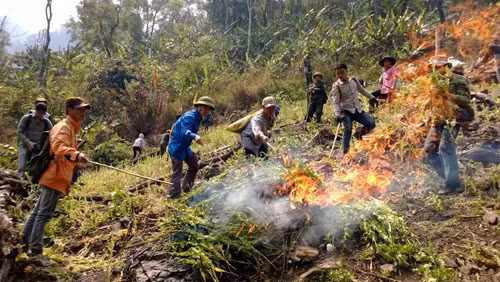 Kết hợp chính sách dân tộc với phòng chống ma túy ảnh 2