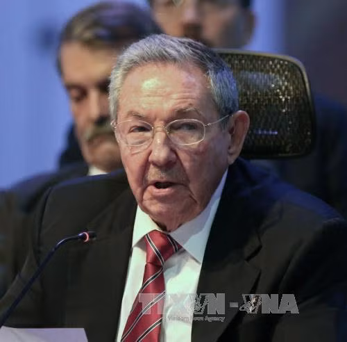Chủ tịch Cuba thăm Algeria ảnh 1