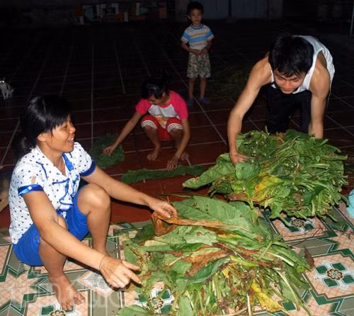 Cực khổ thuốc lào ảnh 4