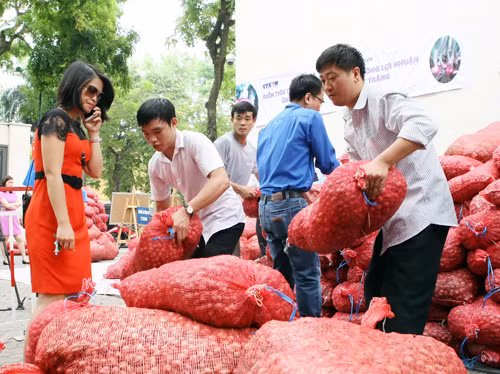 Thanh niên TTXVN giúp nông dân tiêu thụ hành tím ảnh 5