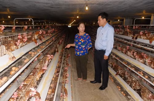 Nông dân Bình Phước làm giàu từ nguồn vốn vay Agribank ảnh 2