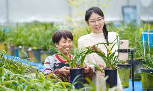 Về quê khởi nghiệp trở thành trào lưu mới của giới trẻ Trung Quốc