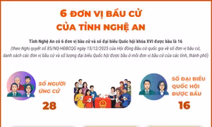 6 đơn vị bầu cử của tỉnh Nghệ An