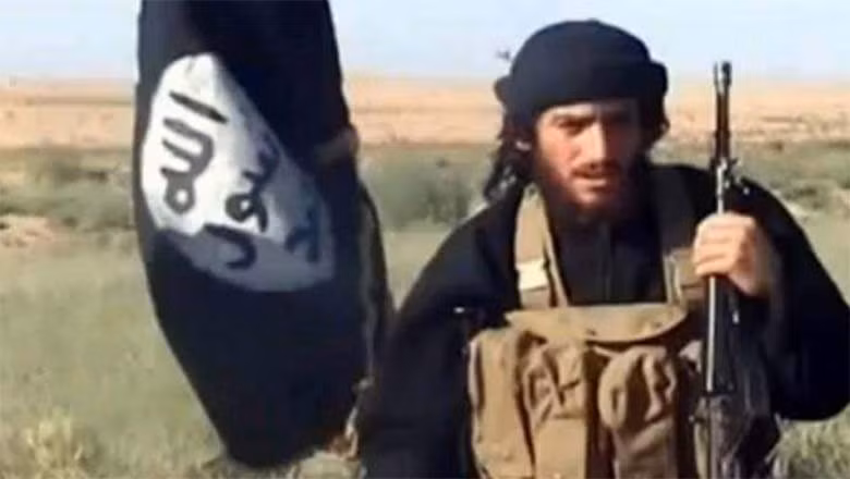 Người phát ngôn của IS bị tiêu diệt ở Syria ảnh 1