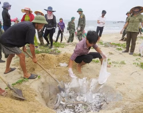 Hỗ trợ ngư dân bị ảnh hưởng cá chết kịp thời, đúng đối tượng ảnh 1