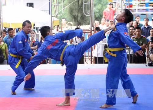 Đoàn Thể thao Việt Nam tiếp tục dẫn đầu ABG-5 ảnh 2