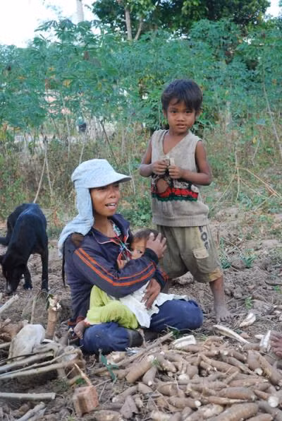 Ngăn chặn phá rừng trồng sắn ảnh 1