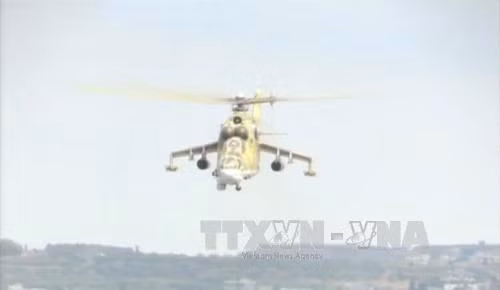 Tổng thống Nga chỉ thị hợp tác với Mỹ trong chiến dịch ở Syria ảnh 1