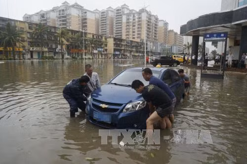 Bão Mujigae tràn vào miền Nam Trung Quốc ảnh 1