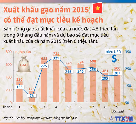 Xuất khẩu gạo sẽ khả quan vào những tháng tới ảnh 2