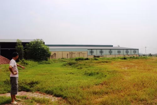 Đảm bảo sinh kế cho người dân sau thu hồi đất ảnh 1