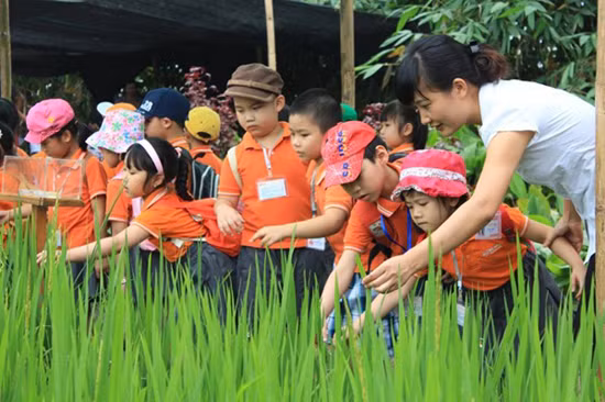 Du lịch học đường – Giải pháp tuyệt vời cho sự quá tải trong học tập ảnh 2