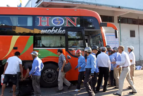 Khốn khổ với “cò” ảnh 1